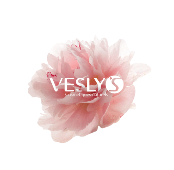 Screenshot 2025-07-28 at 5.20.28 PM