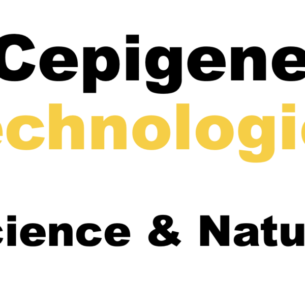 Screenshot 2025-07-28 at 5.48.32 PM